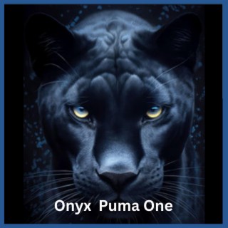 Onyx Puma One