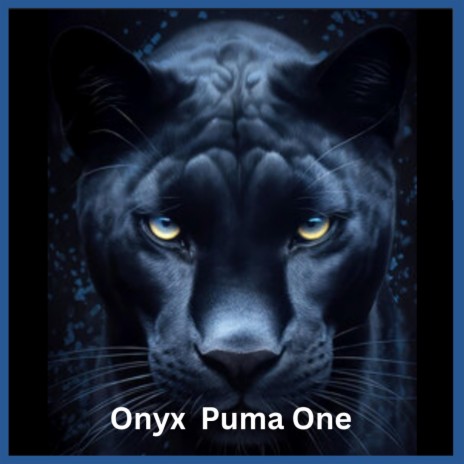 Onyx Puma One | Boomplay Music
