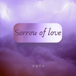 Sorrow of love