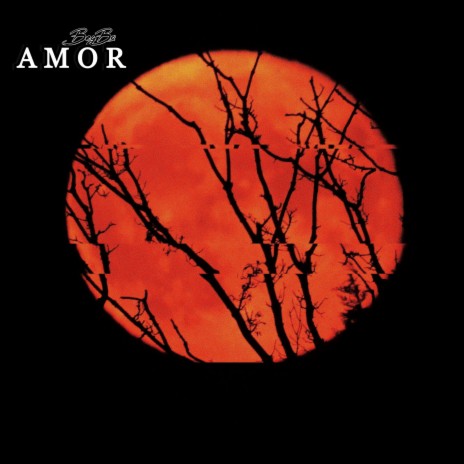 Amor (Radio Edit)