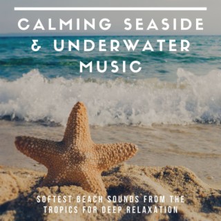 Calming Seaside & Underwater Music: Softest Beach Sounds from the Tropics for Deep Relaxation