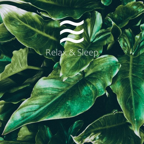 Relaxation Sober Noisy Tone for Rest | Boomplay Music