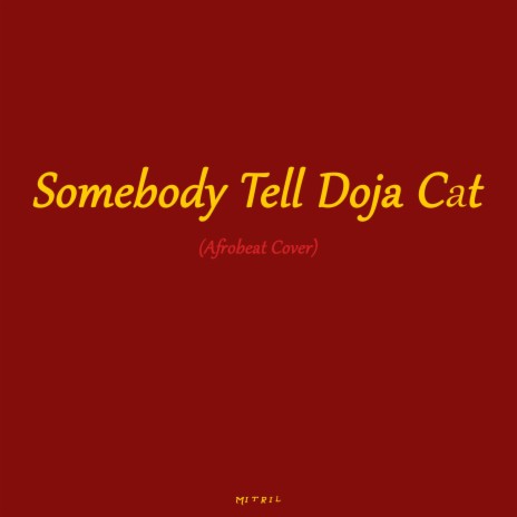 Somebody Tell Doja Cat (Afrobeat Cover) ft. Amaflybeatz | Boomplay Music