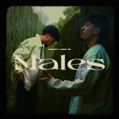 MALES ft. AISSA SG | Boomplay Music