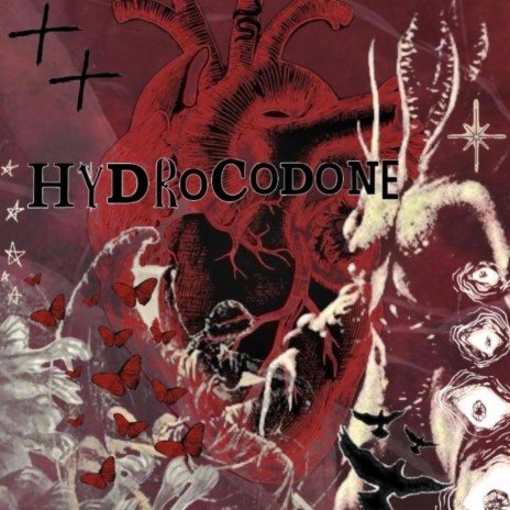 hydrocodone | Boomplay Music