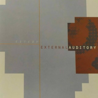 External Auditory