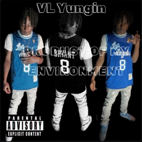 VL Yungin - Product Of My Environment | Boomplay Music