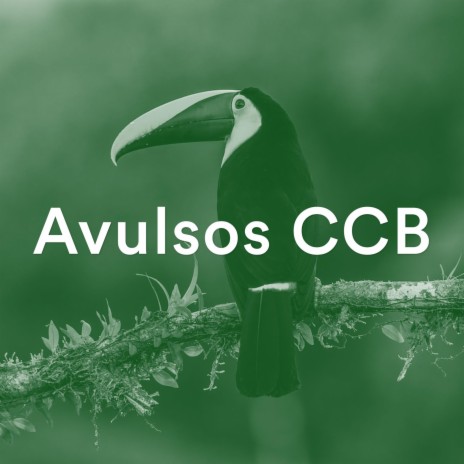 Pra frente caminha, valente (CCB Avulsos) | Boomplay Music