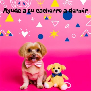 Ayude a su cachorro a dormir: Terapia especial: Música para perros, Terapia de mascotas curativas, Hora de dormir para cachorros