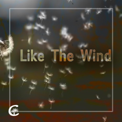 Like the Wind | Boomplay Music