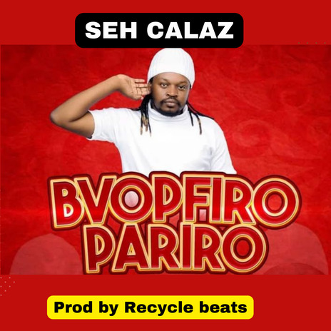 Bvopfiro Pariro | Boomplay Music