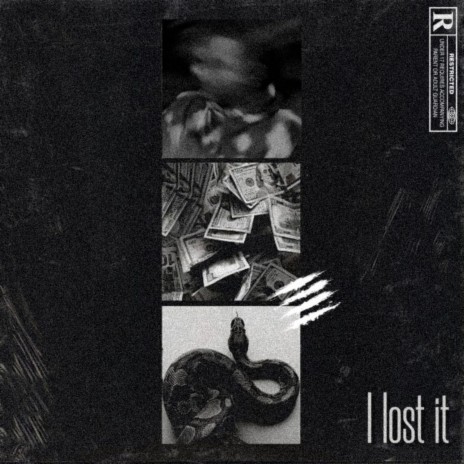 I Lost It | Boomplay Music