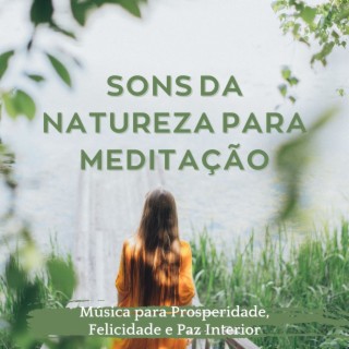 Sons da Natureza para Meditação: Música para Prosperidade, Felicidade e Paz Interior
