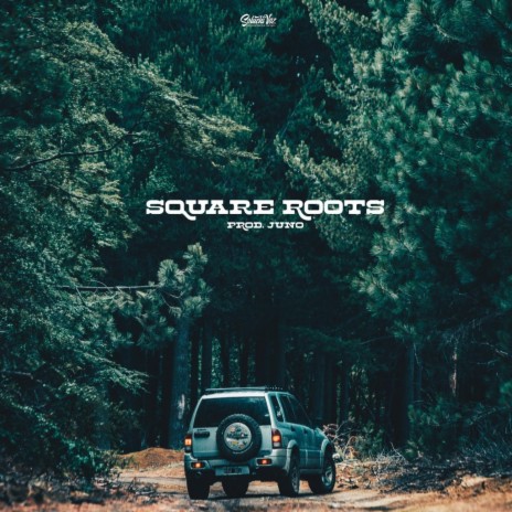 Square Roots | Boomplay Music