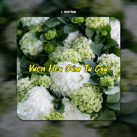 Vườn Hoa Cẩm Tú Cầu | Boomplay Music