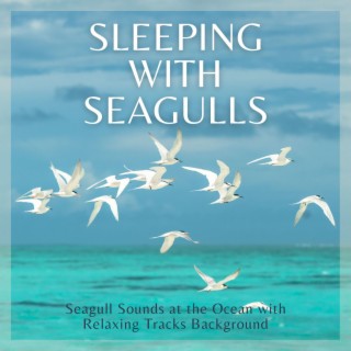 Sleeping with Seagulls: Seagull Sounds at the Ocean with Relaxing Tracks Background