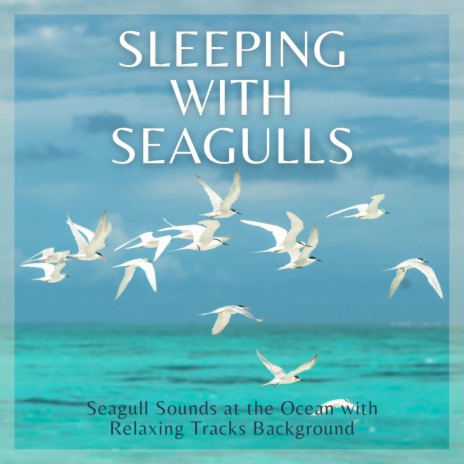 Sleeping with Seagulls | Boomplay Music