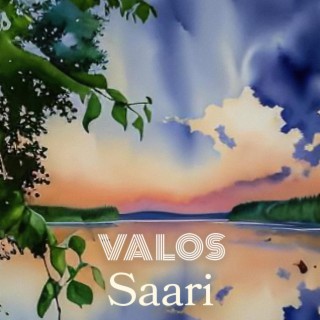 Saari