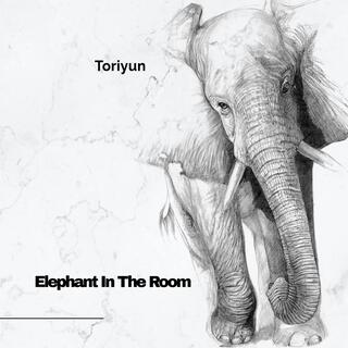 Elephant In The Room