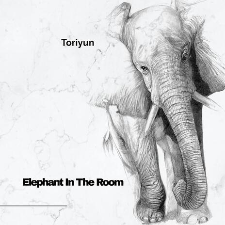 Elephant In The Room | Boomplay Music