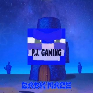 Back Maze lyrics | Boomplay Music