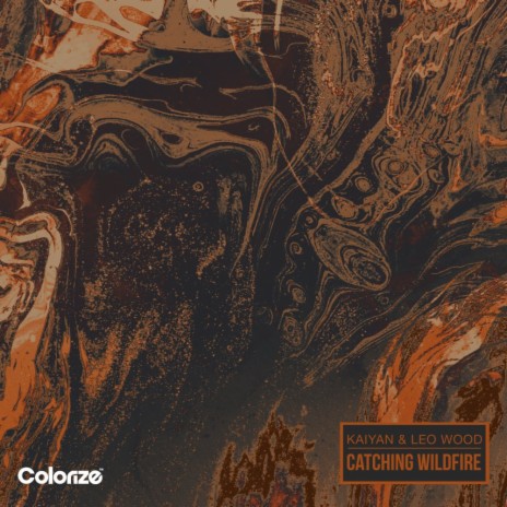 Catching Wildfire (Extended Mix) ft. Leo Wood | Boomplay Music