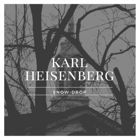 Karl Heisenberg