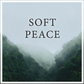 Soft Peace