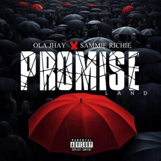 Promise land ft. Sammie Richie lyrics | Boomplay Music