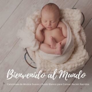 Bienvenido al Mundo: Canciones de Música Suave y Ruido Blanco para Calmar Recién Nacidos