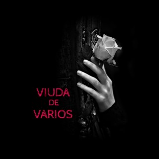 Viuda de Varios (Original Theater Soundtrack)