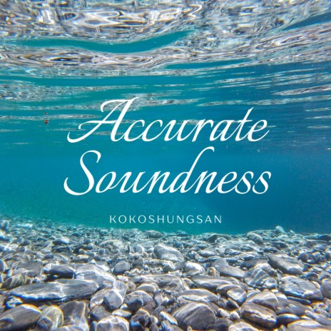 Accurate Soundness | Boomplay Music