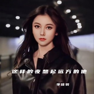 这样的夜想起远方的他（抒情版） lyrics | Boomplay Music