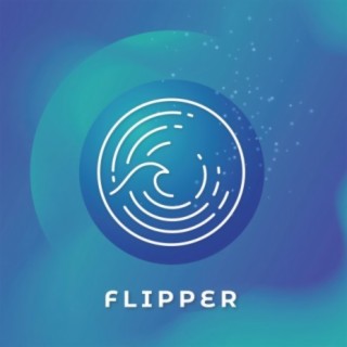 Flipper