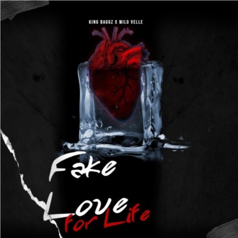 Fake Love for Life ft. Milo Velle | Boomplay Music