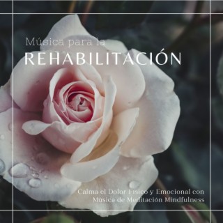 Música para la Rehabilitación: Calma el Dolor Físico y Emocional con Música de Meditación Mindfulness