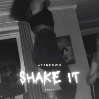 shake it ft. ninth lyrics | Boomplay Music