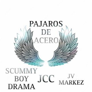 Pajaros de Acero