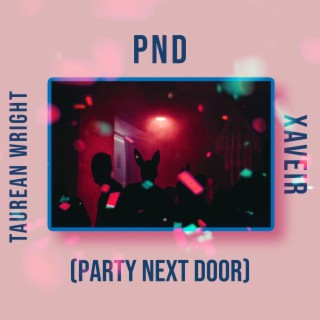 PND (Party Next Door) ft. XAVEIR lyrics | Boomplay Music