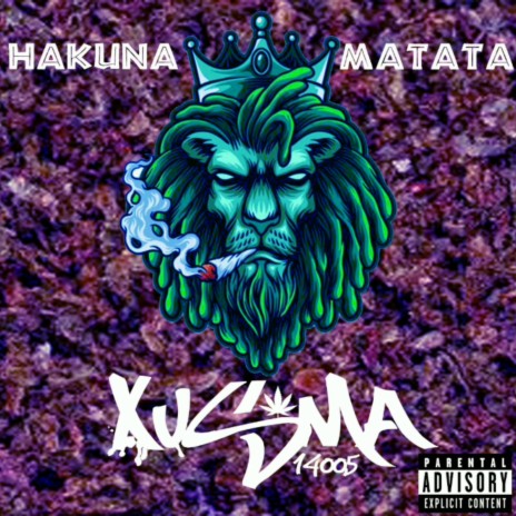 Hakuna matata (remix) | Boomplay Music