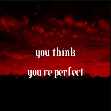 you think you're perfect | Boomplay Music
