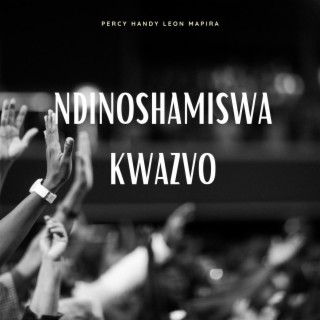 Ndinoshamiswa Kwazvo (Radio Edit)
