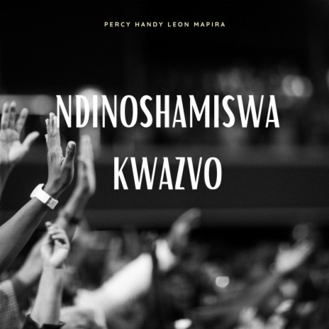 Ndinoshamiswa Kwazvo (Radio Edit) | Boomplay Music