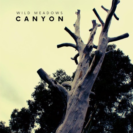 Canyon