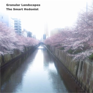 Granular Landscapes