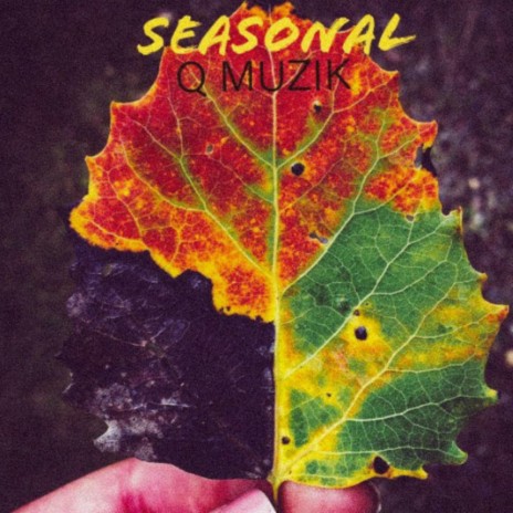 Seasonal | Boomplay Music