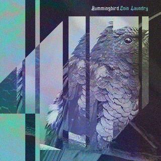 Hummingbird lyrics | Boomplay Music