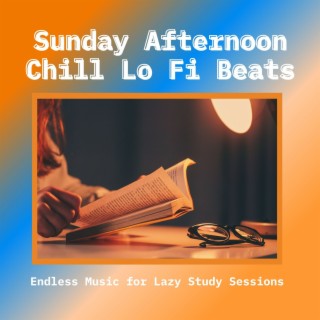Sunday Afternoon Chill Lo Fi Beats: Endless Music for Lazy Study Sessions