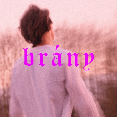 Brány | Boomplay Music