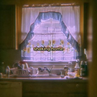 shaking home